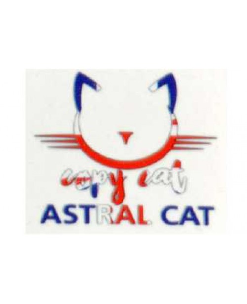 Copy Cat Astral Cat Aroma 10ml (Beeren, Eukalyptus...