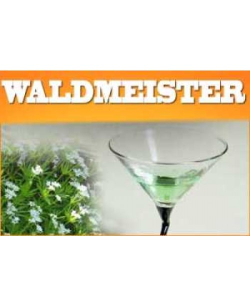 Waldmeister Liquid 10ml