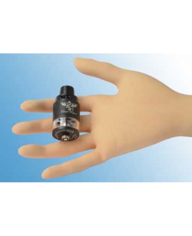 OBS Frost Wyrm RDTA Selbstwickler ESS