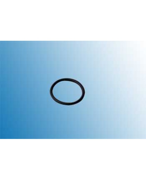 Igo-F O-Ring Ersatz