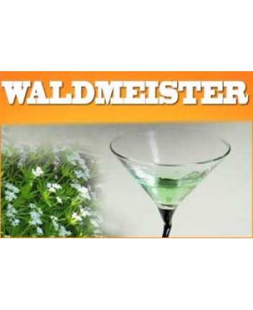 Waldmeister Aroma 10ml