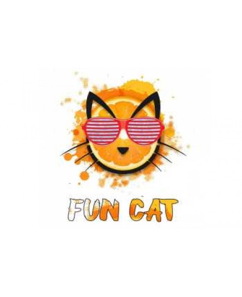 Copy Cat Fun Cat Aroma 10ml (Orangen Limonade)