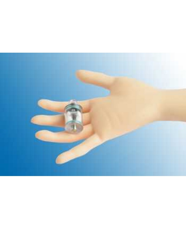 Theorem Wismec Selbstwickelverdampfer