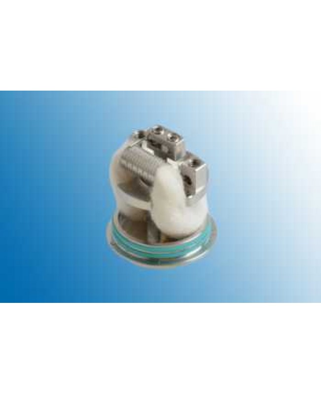 Theorem Wismec Selbstwickelverdampfer